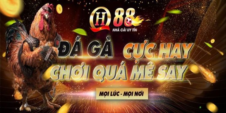 Chơi Có Trách Nhiệm tại QH88 - An Toàn Hơn, Vui Hơn Mỗi Ngày! Chơi Có Trách Nhiệm tại QH88 - An Toàn Hơn, Vui Hơn Mỗi Ngày!
