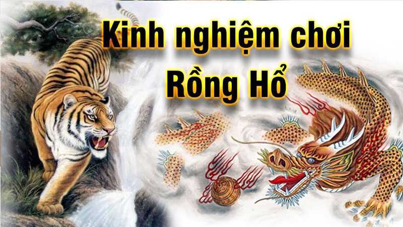 Game Bài Rồng Hổ Là Gì - Giải Mã Sức Hút Của Tựa Game Đình Đám 2 game bai rong ho la gi 67da2c64b9b5f