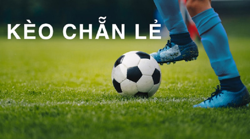 Kèo Chẵn Lẻ Bóng Đá - Bí Mật Soi Kèo Thắng Lớn! 3 keo chan le bong da 67d8d60b77838