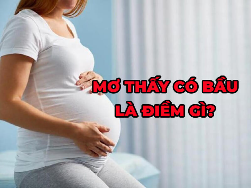 Mơ Thấy Có Bầu Đánh Đề Con Gì - Giải Mã Giấc Mơ & Con Số May Mắn 8 mo thay co bau danh de con gi 67d95b3b62a2f