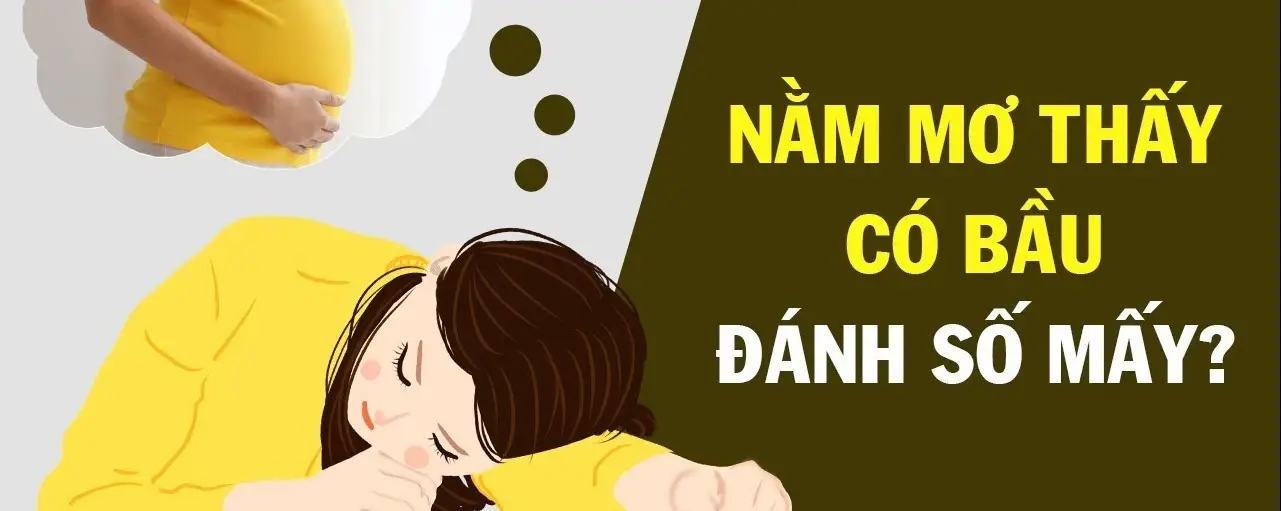Mơ Thấy Có Bầu Đánh Đề Con Gì - Giải Mã Giấc Mơ Con Số May Mắn Mơ Thấy Có Bầu Đánh Đề Con Gì - Giải Mã Giấc Mơ Con Số May Mắn