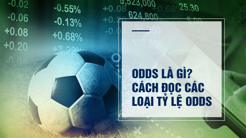 Odds là gì - Giải mã Bí mật Của Những Con Số May Rủi Odds là gì - Giải mã Bí mật Của Những Con Số May Rủi